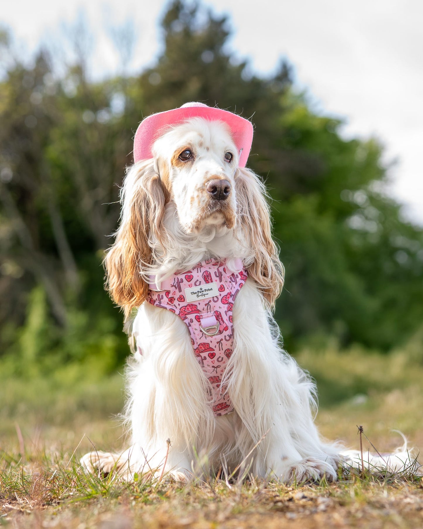 The Giddy up Pup Adventure Paws Harness