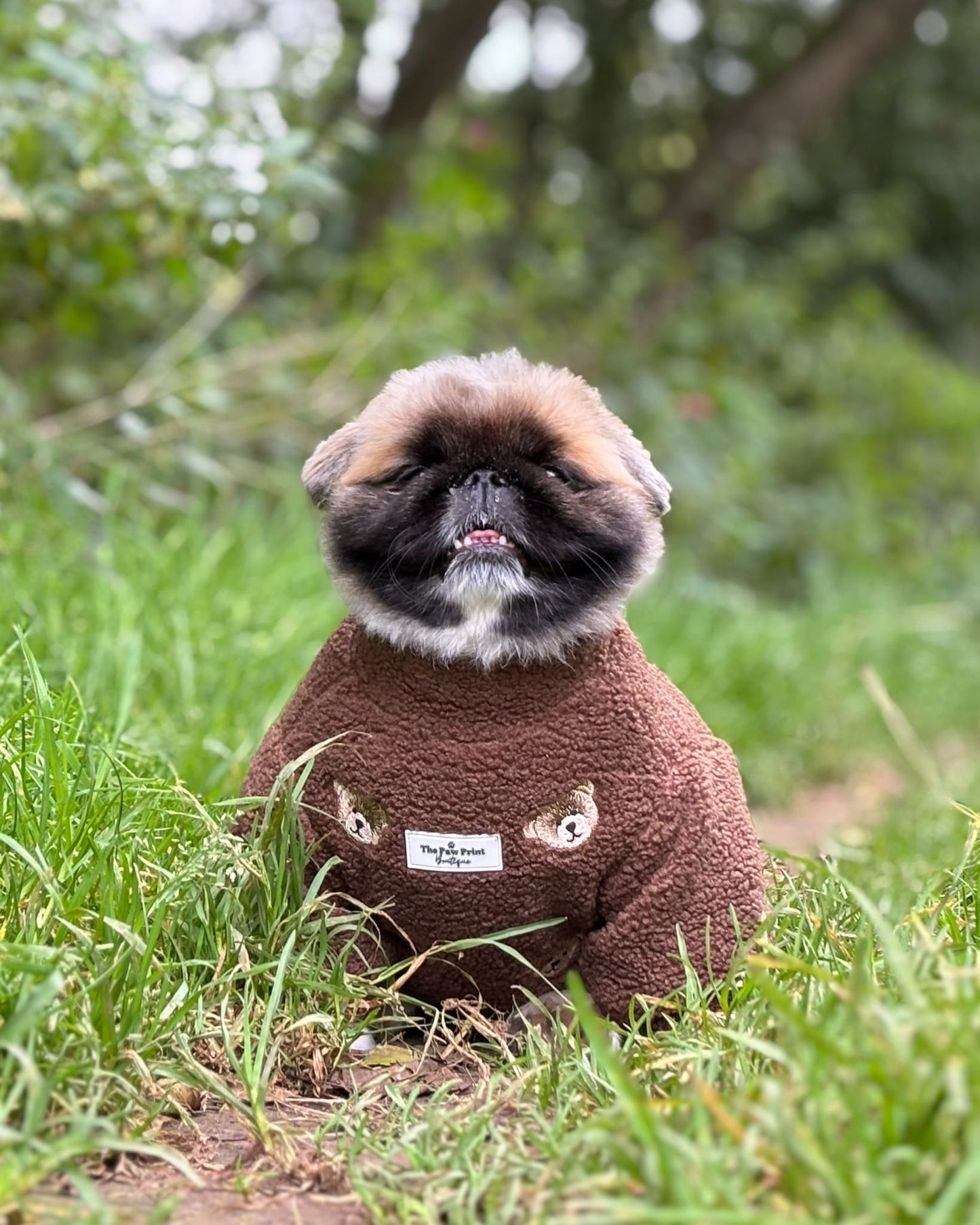 The Embroidered Little Bear Cub Teddy Fleece
