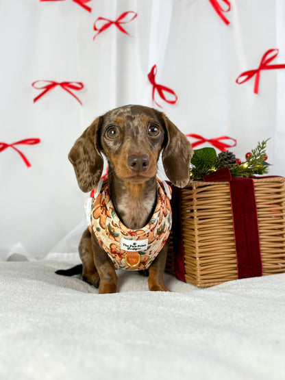 Gingerbread Grove Adjustable Harness