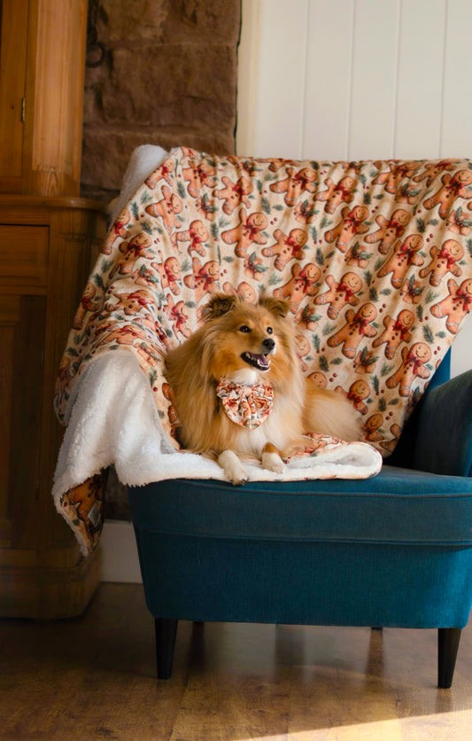 Gingerbread Grove Human Blanket