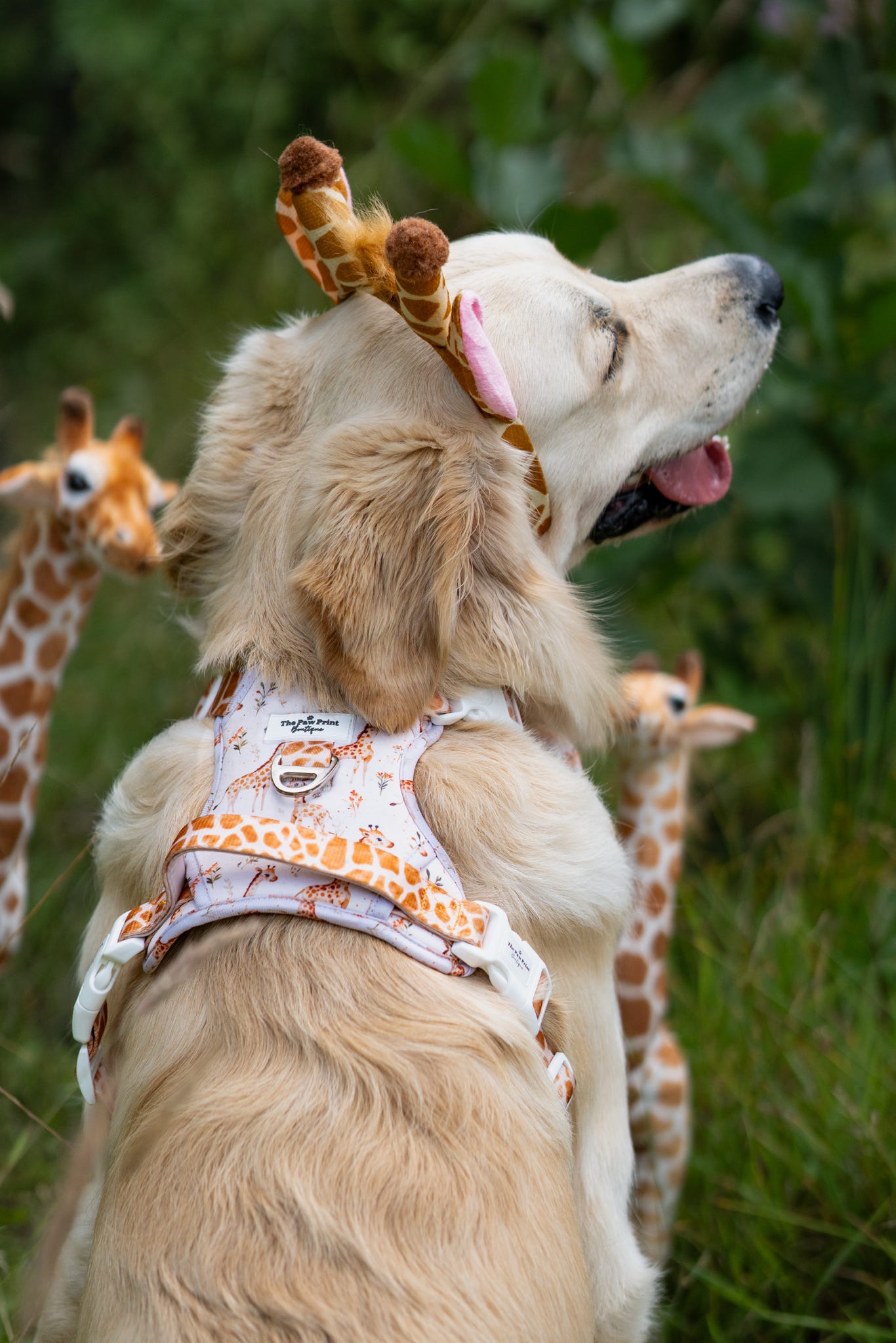 The Graceful Giraffe Adventure Paws Harness