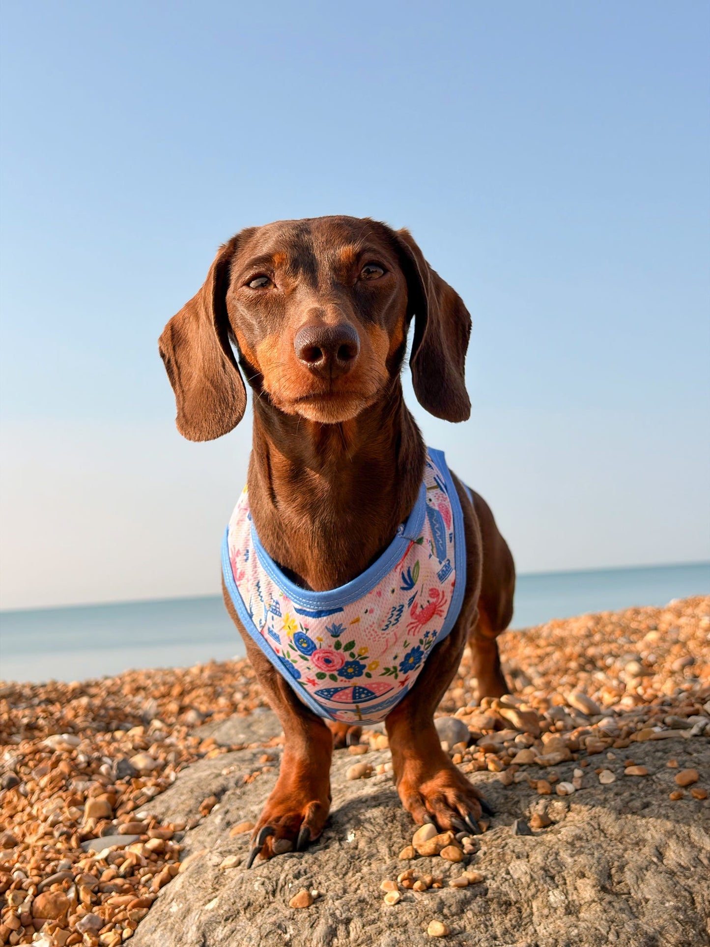 Santorini Seagulls Cooling Vest