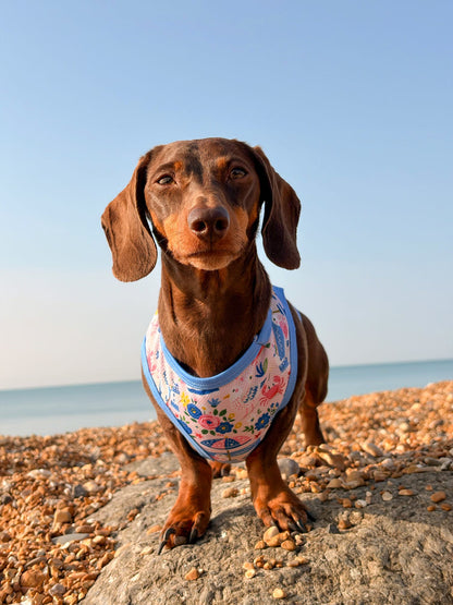 Santorini Seagulls Cooling Vest