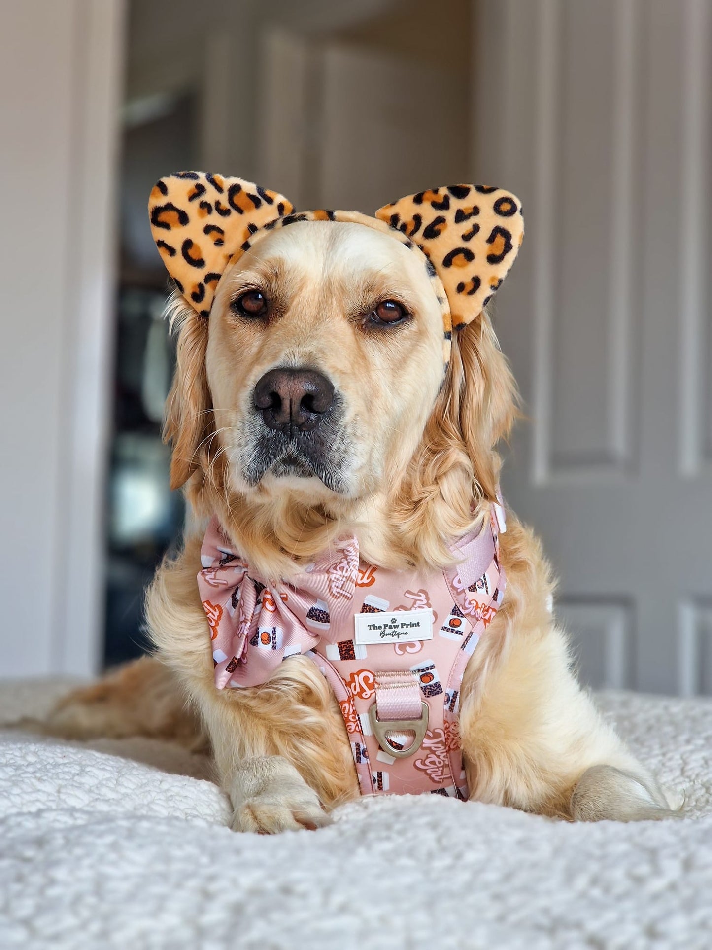 Spice Girl Adventure Paws Harness