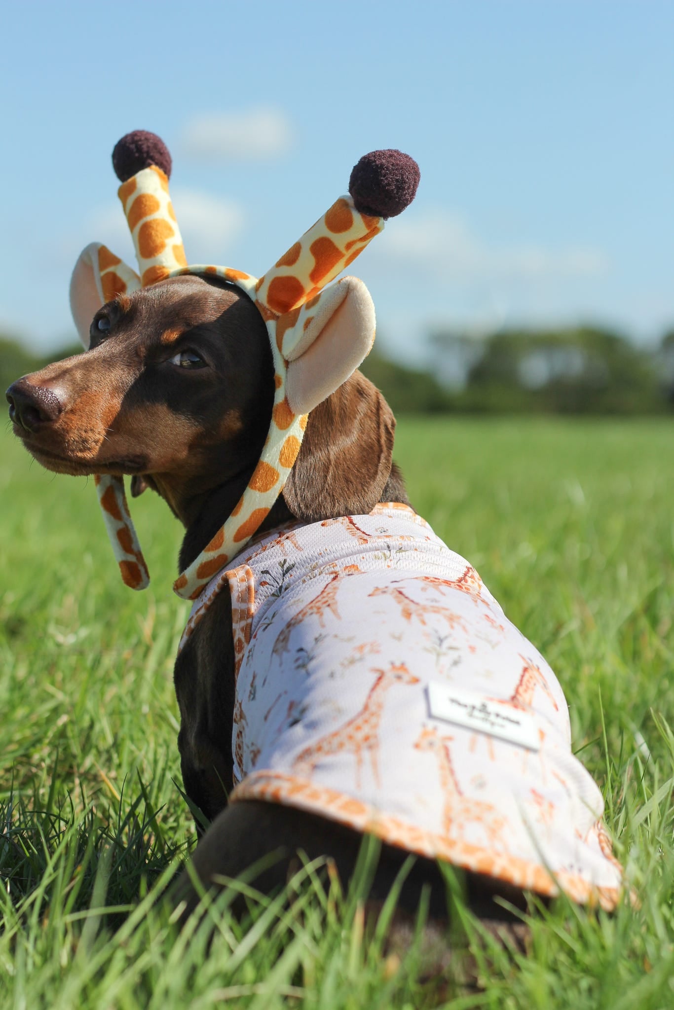 The Graceful Giraffe Cooling Vest