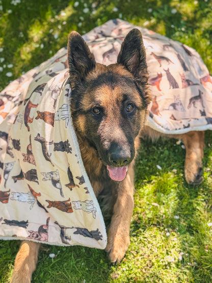 German Shepheard Dog Blanket