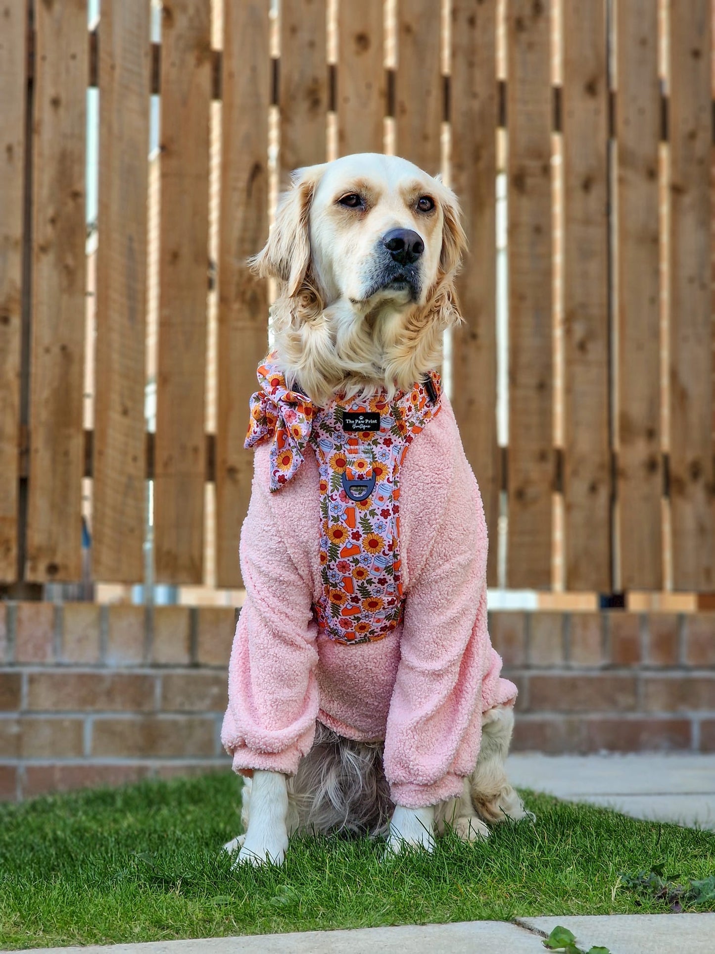 The Baby Pink Teddy Fleece