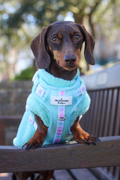 The Mint Teddy Fleece