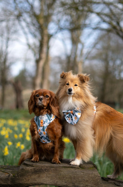 Daffodil Daze Adjustable Harness