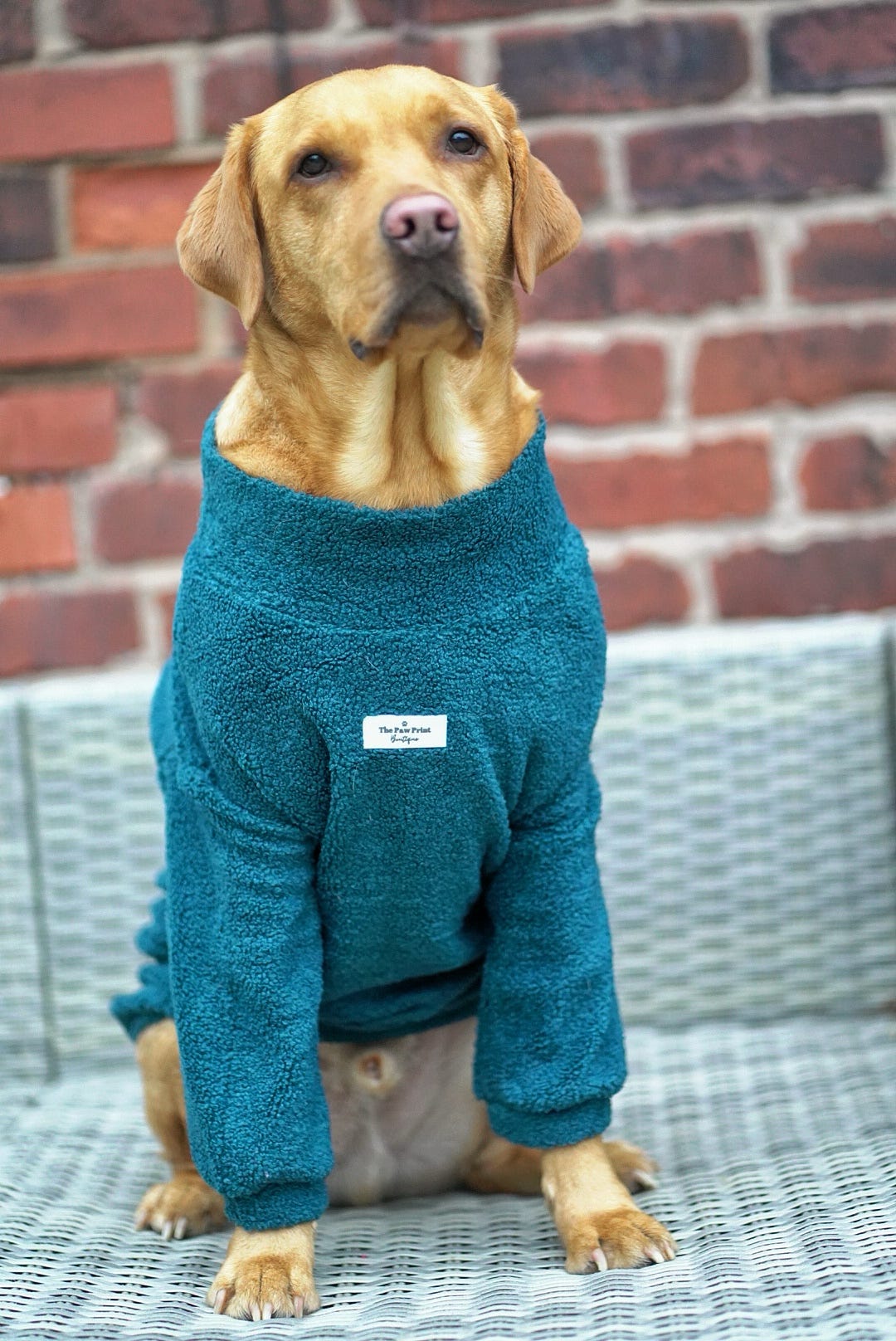 The Teal Teddy Fleece