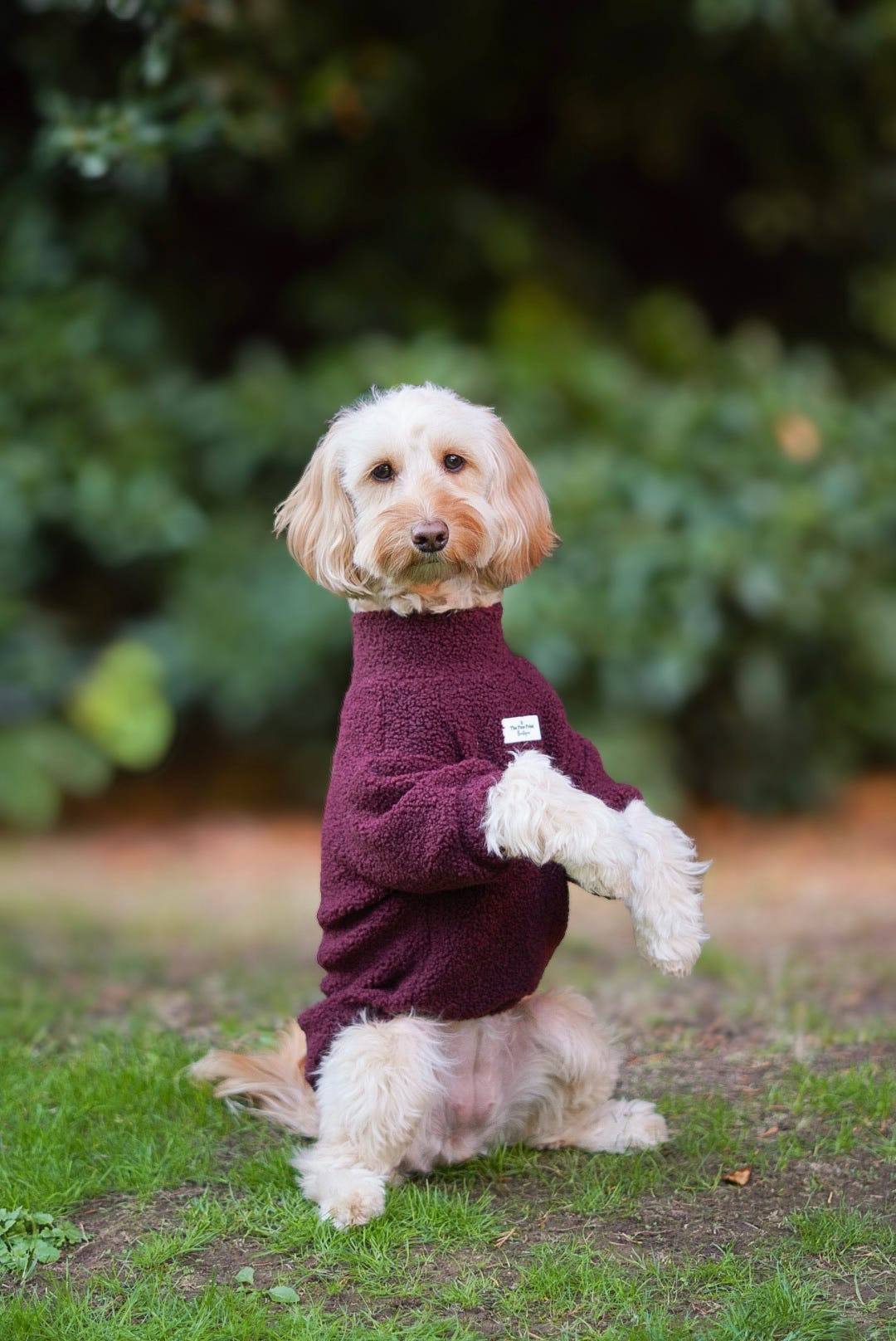 Teddy Fleece - Cherry