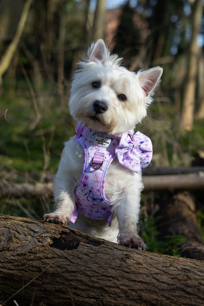 Butterfly Bliss Adventure Paws Harness