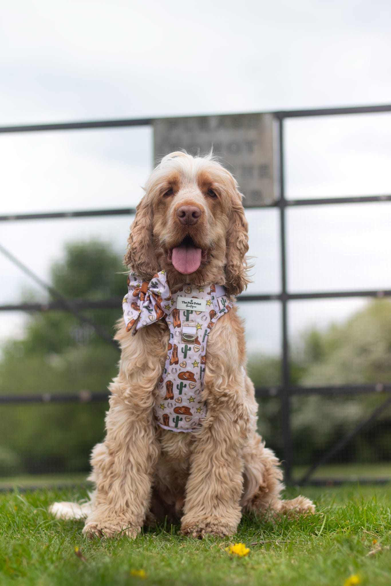 The Howdy Pawtner Bow Tie