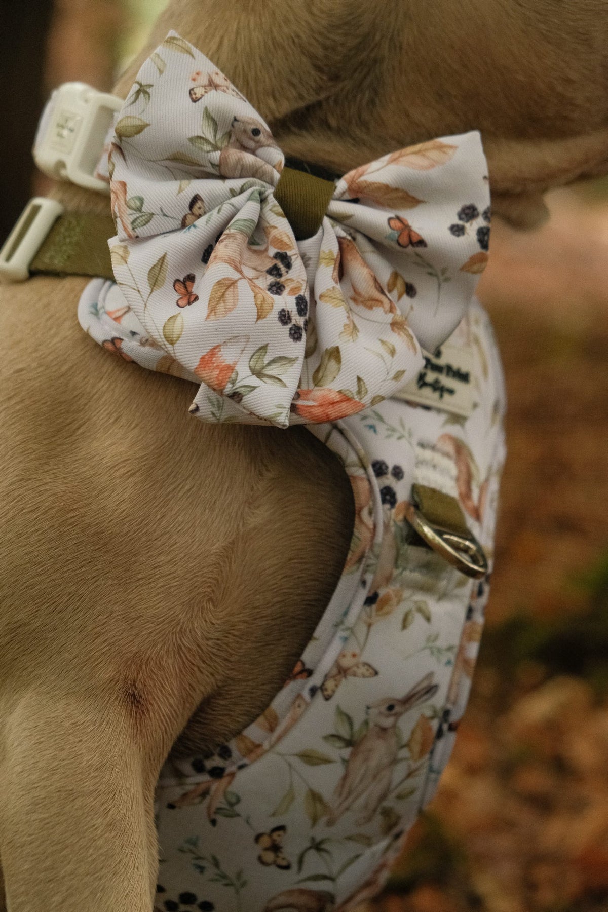 Whimsical Wildlife Bow Tie