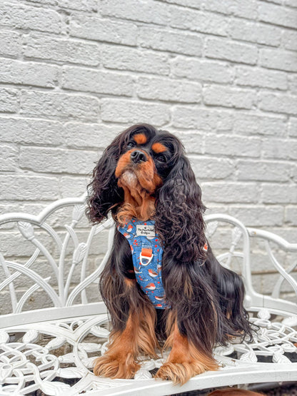 Seasons Tweetings Adventure Paws Harness