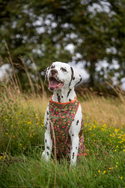 The Tiger who came to TPPB Cooling Vest