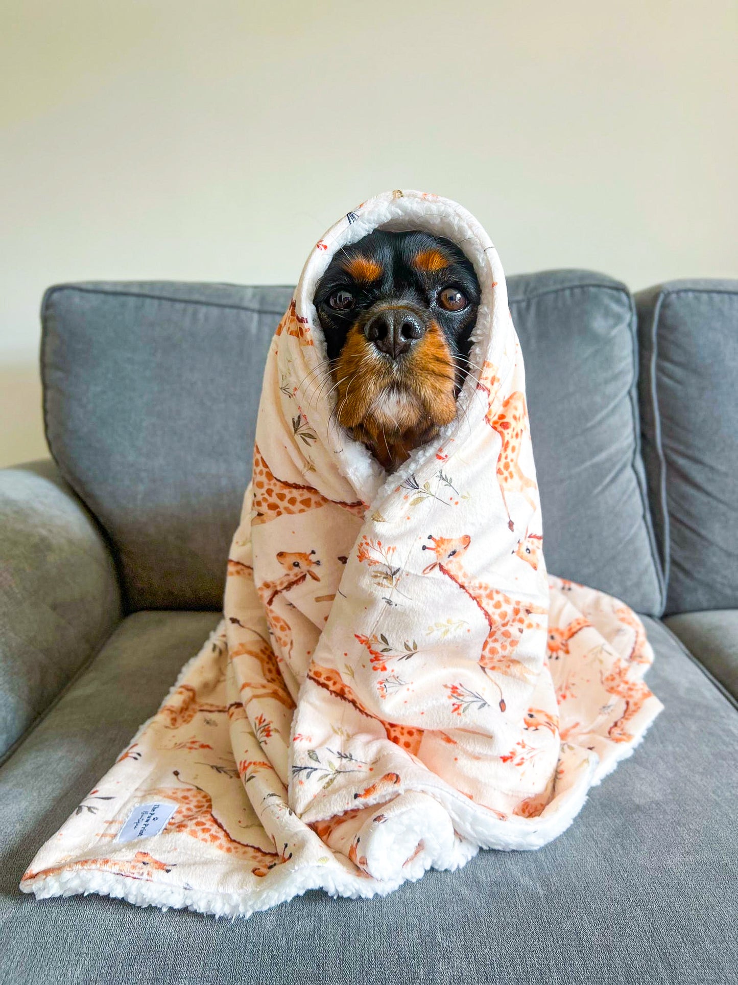 The Graceful Giraffe Dog Blanket