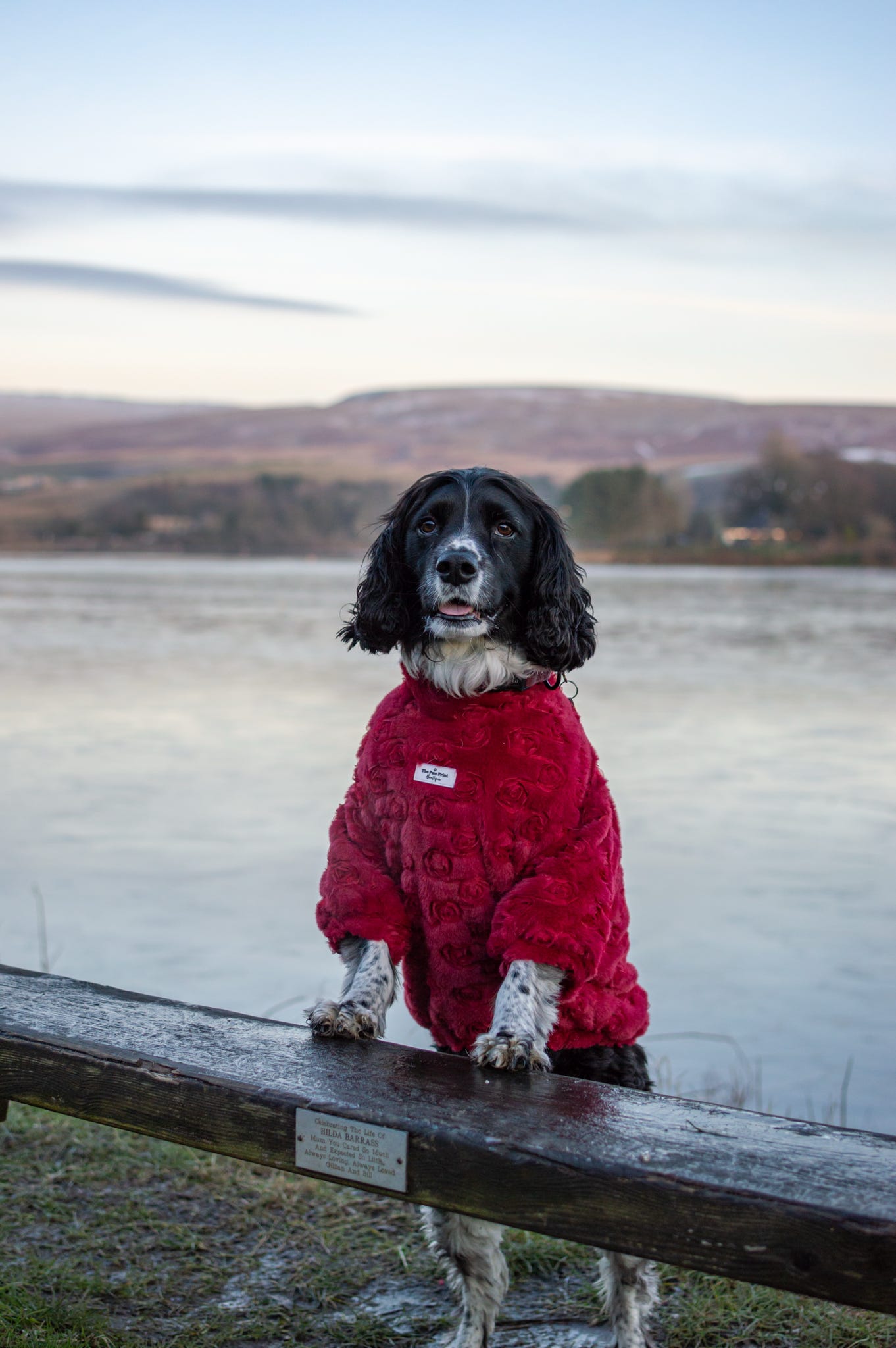 The Roses Fleece - Red