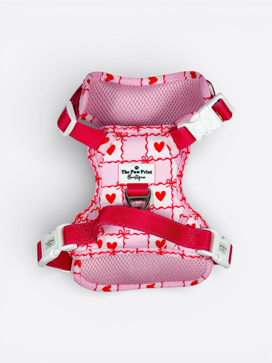 Pink Chequered Hearts Adventure Paws Harness