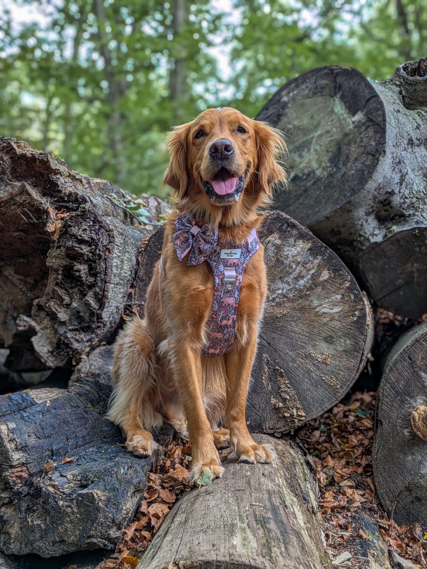 Woodland Wilderness Adventure Paws Harness