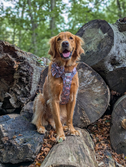 Woodland Wilderness Adventure Paws Harness