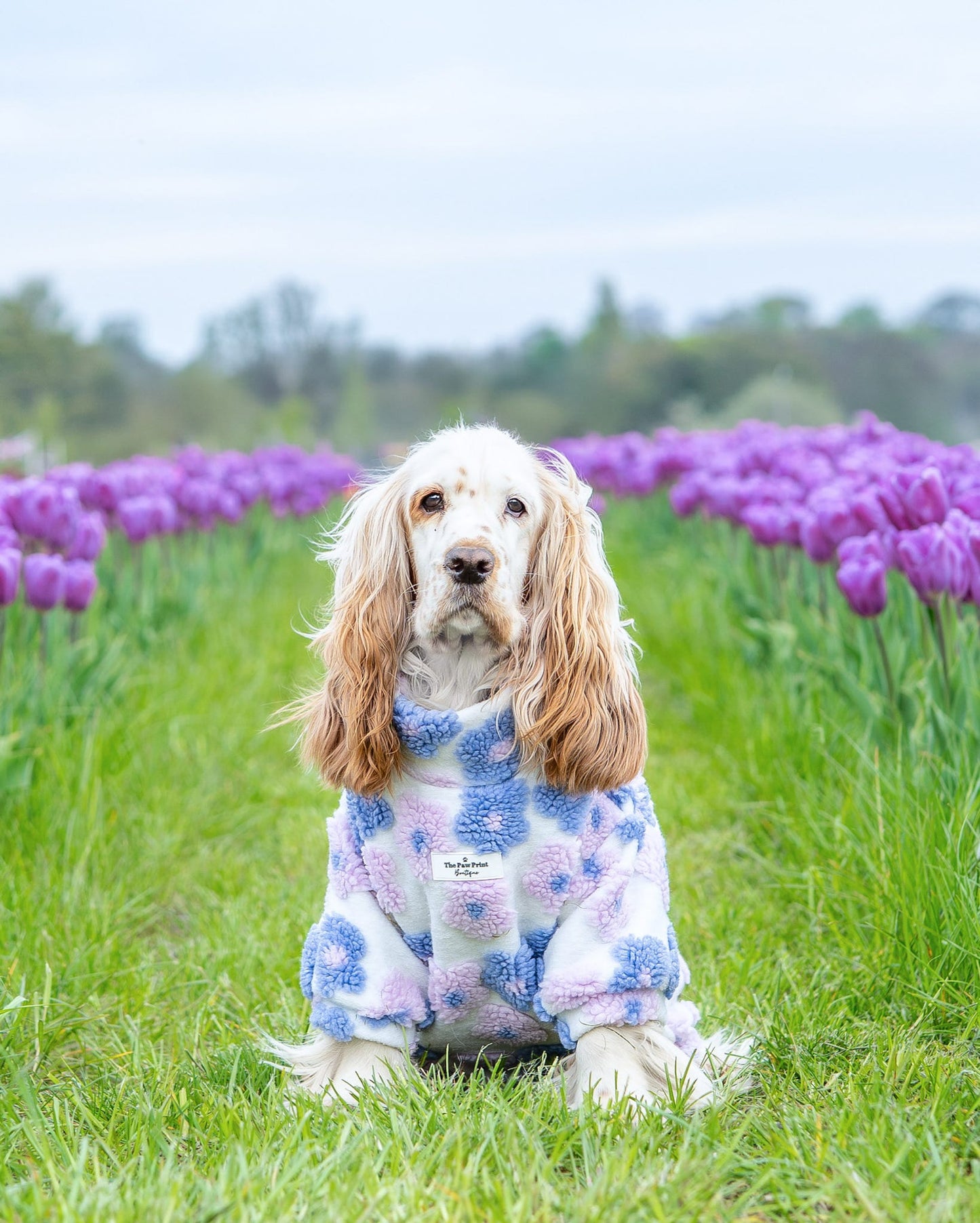 The Lavender Lilac Floral Fleece