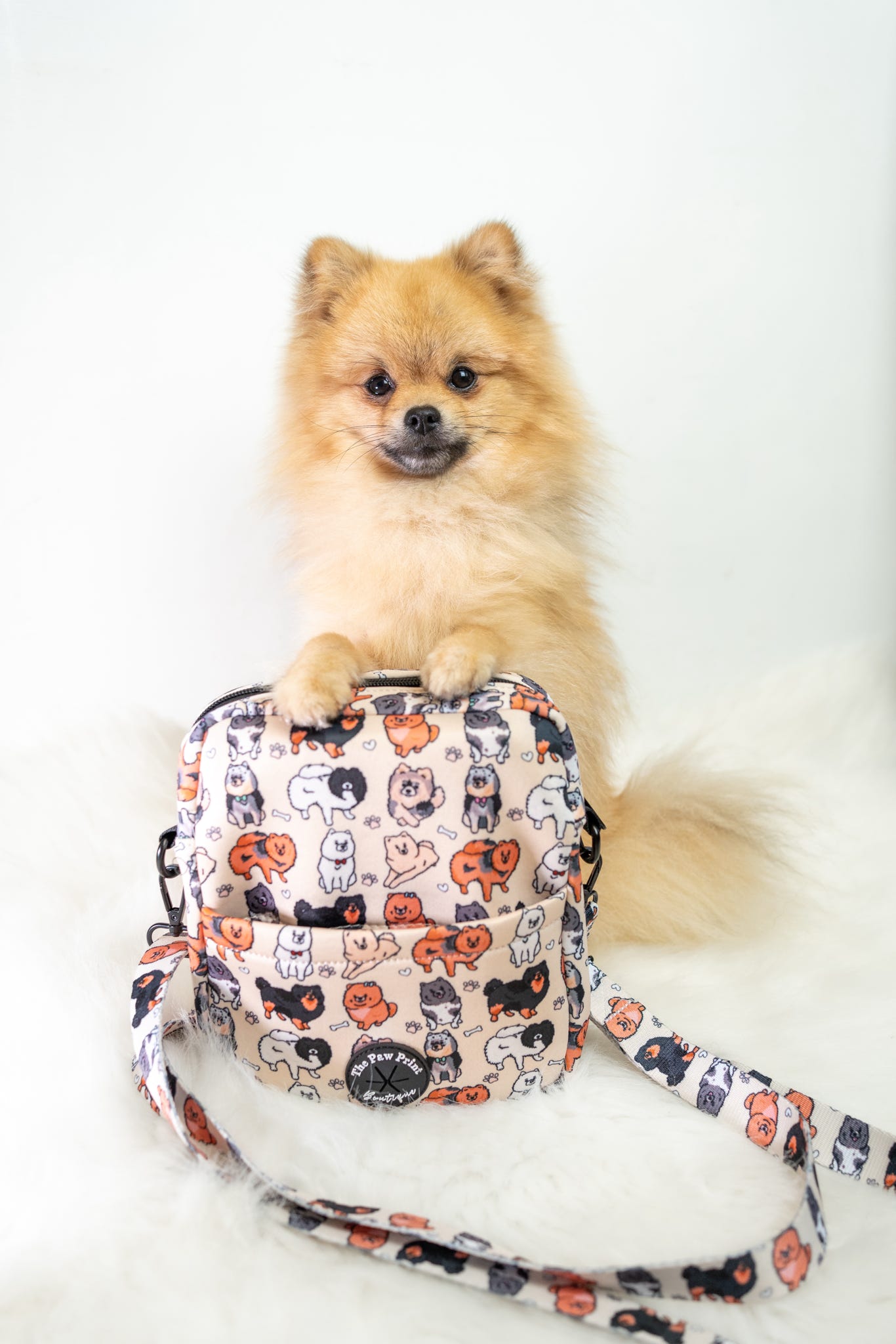 The Pomeranian Dog Walking Bag