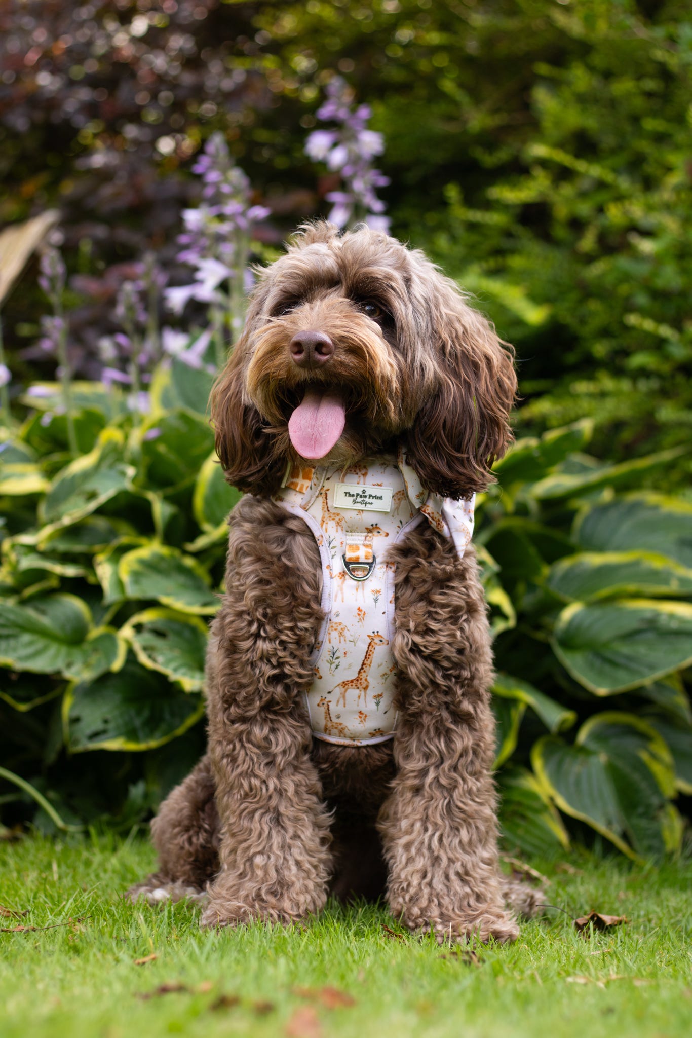 The Graceful Giraffe Adventure Paws Harness