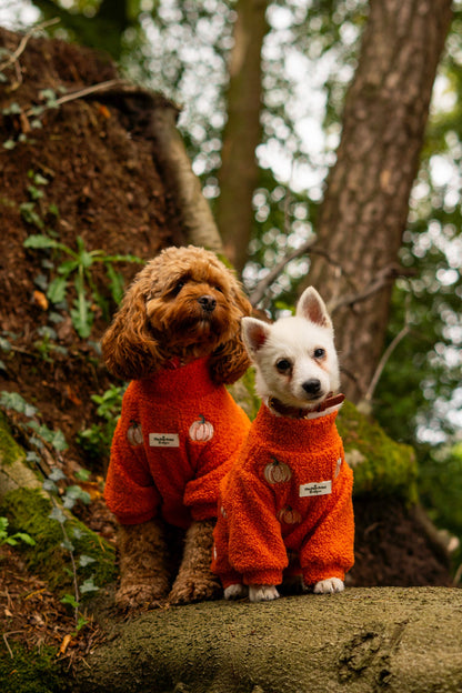 The Embroidered Pumpkins Teddy Fleece