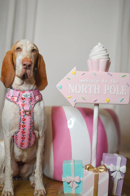 Merry Pinkmas Adventure Paws Harness