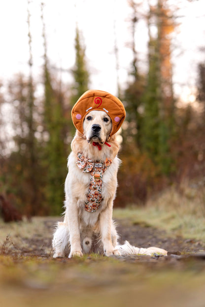 Gingerbread Grove Bow Tie
