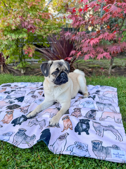 The Pug Dog Towel
