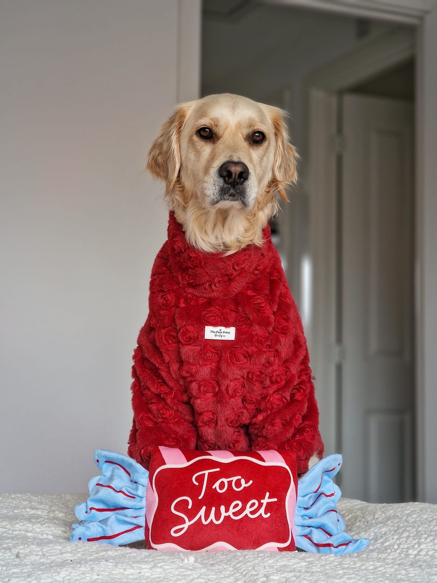 The Roses Fleece - Red