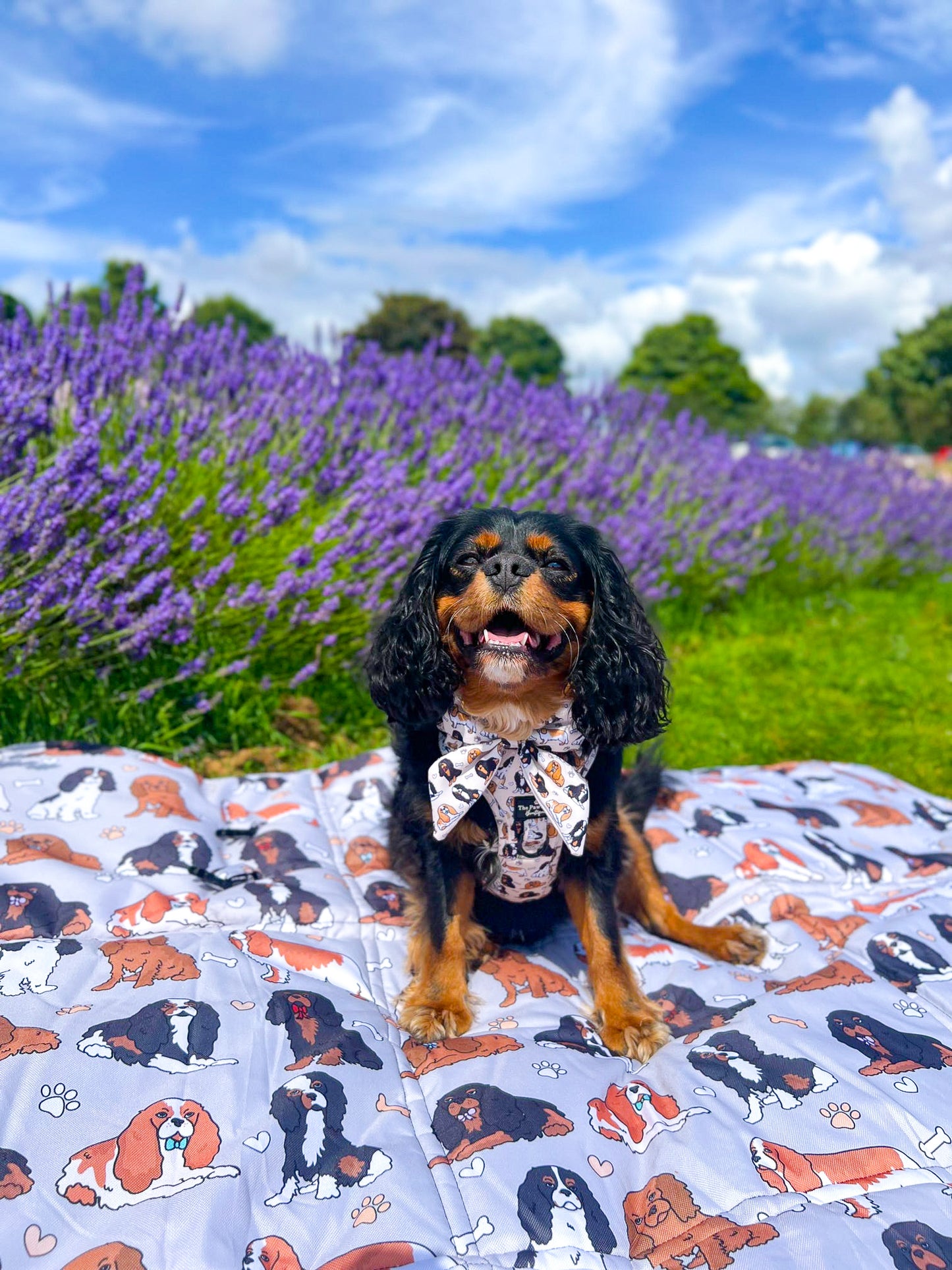 The Cavalier Picnic Mat