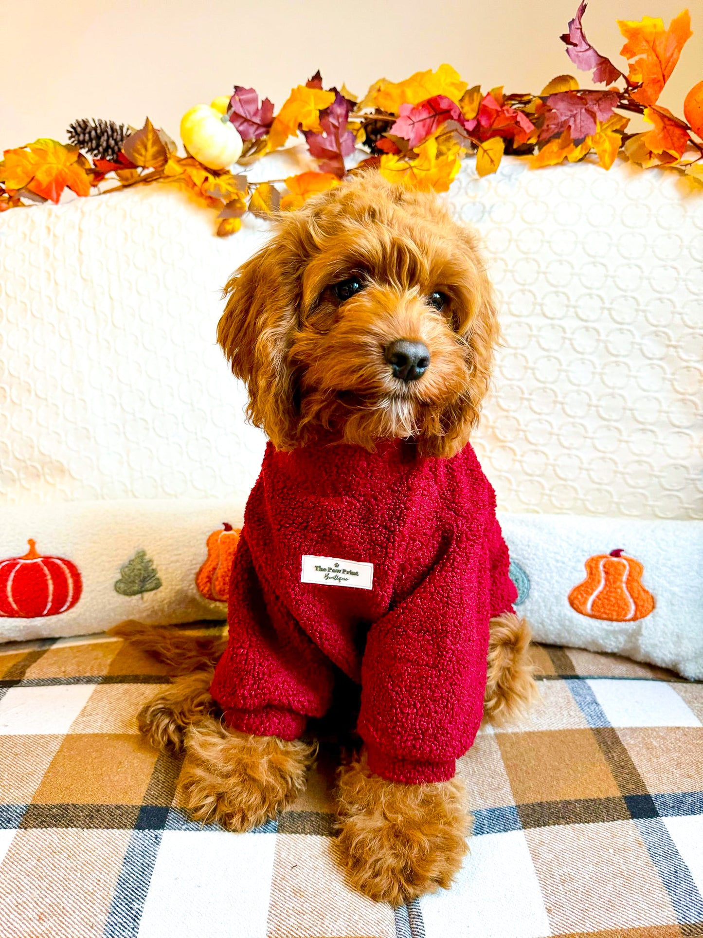 The Mulberry Teddy Fleece