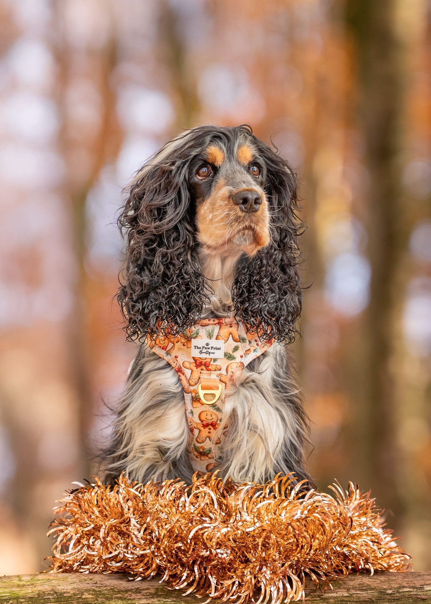 Gingerbread Grove Adventure Paws Harness