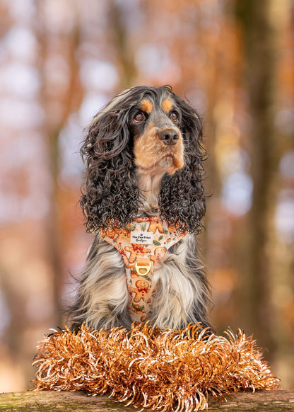 Gingerbread Grove Adventure Paws Harness