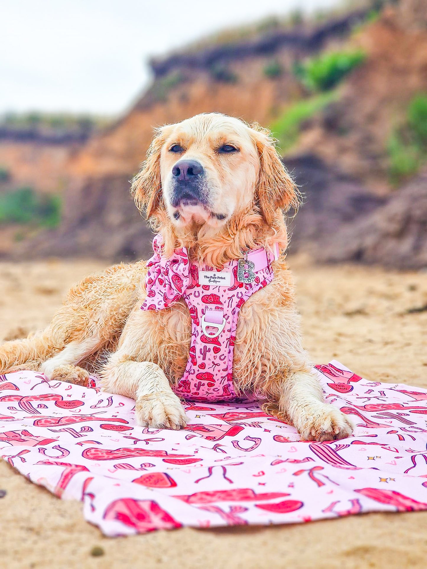 Giddy up Pup Beach Towel