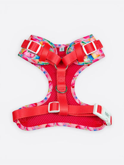 The Tulip Field Adjustable Harness