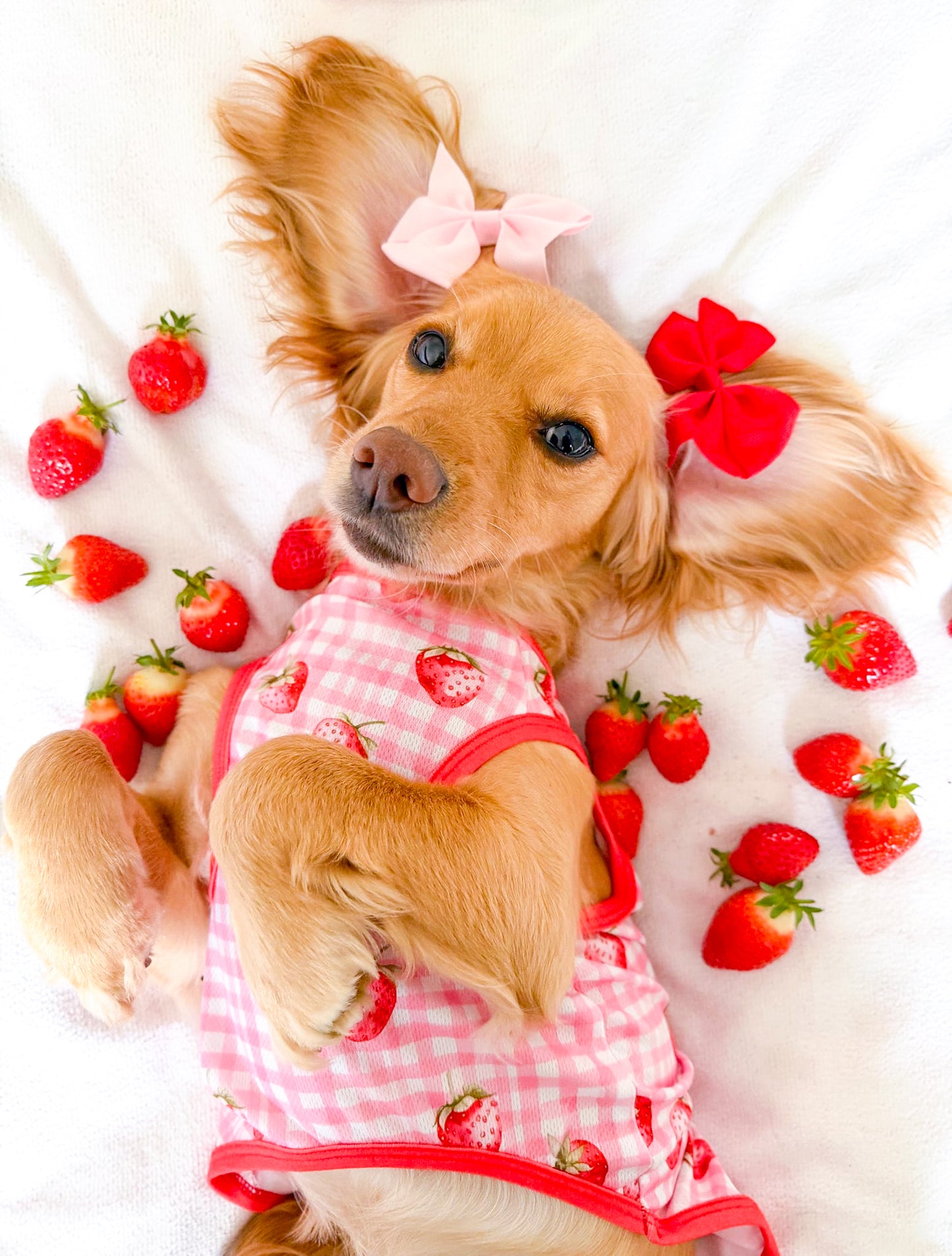 The Strawberry Gingham Cooling Vest