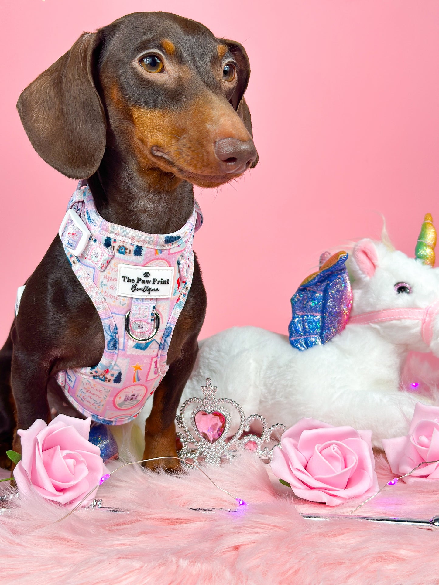 The Once Upon a Pup Adjustable Harness