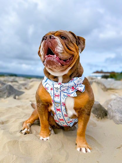 Absolutely Crabulous Adventure Paws Harness