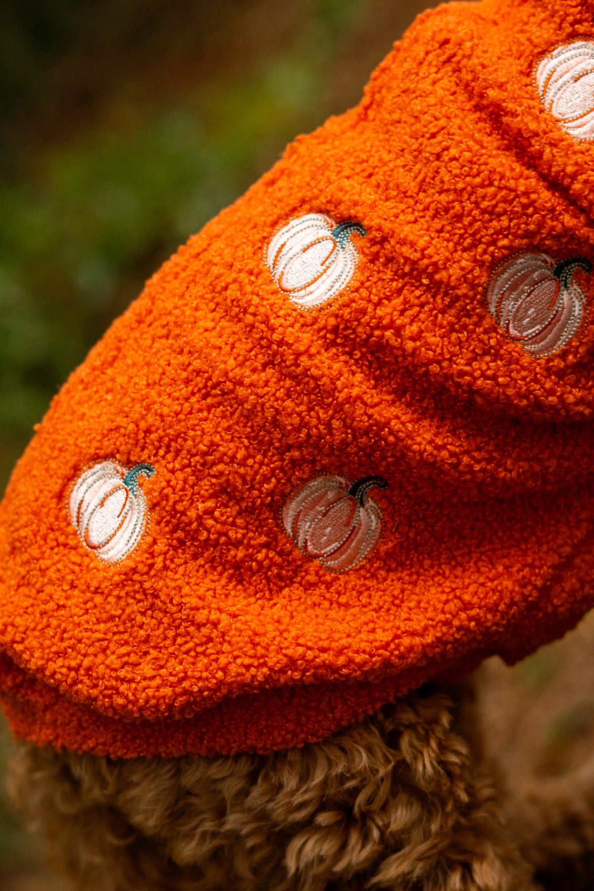 The Embroidered Pumpkins Teddy Fleece