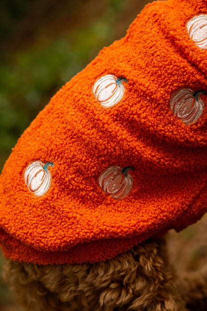 The Embroidered Pumpkins Teddy Fleece