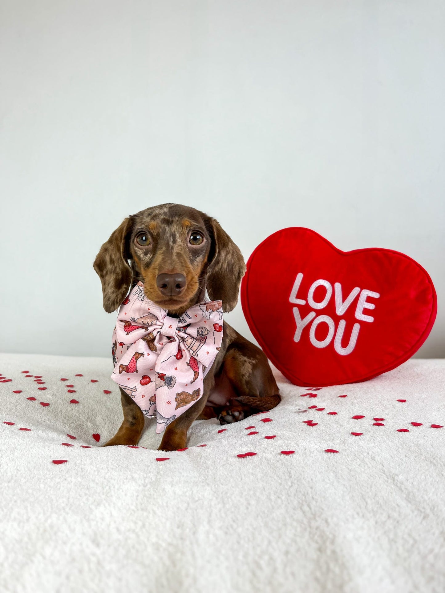 The Puppy Love Bow Tie