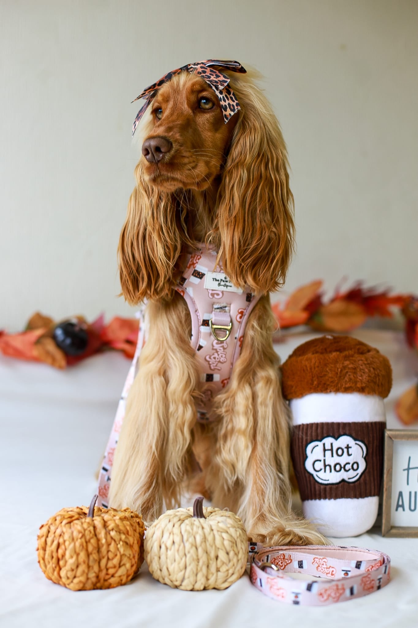 Spice Girl Adventure Paws Harness