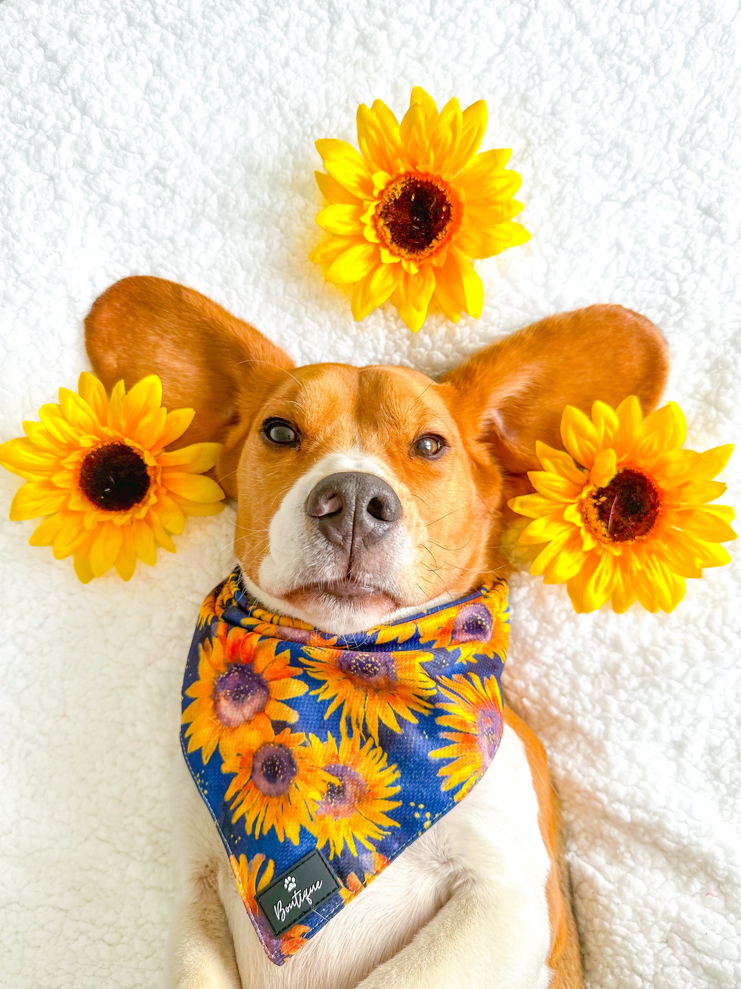 The Sunflower Field Bandana