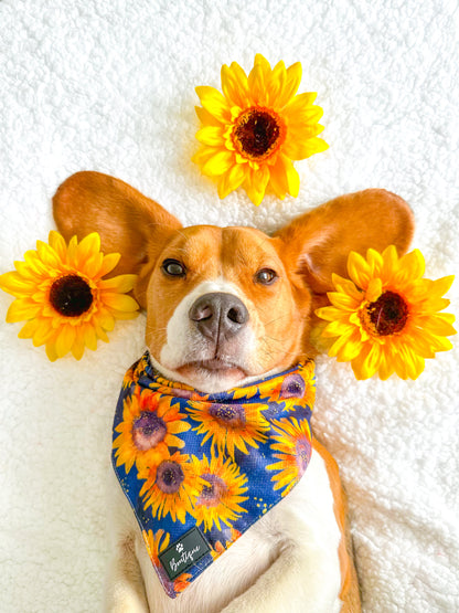 The Sunflower Field Bandana
