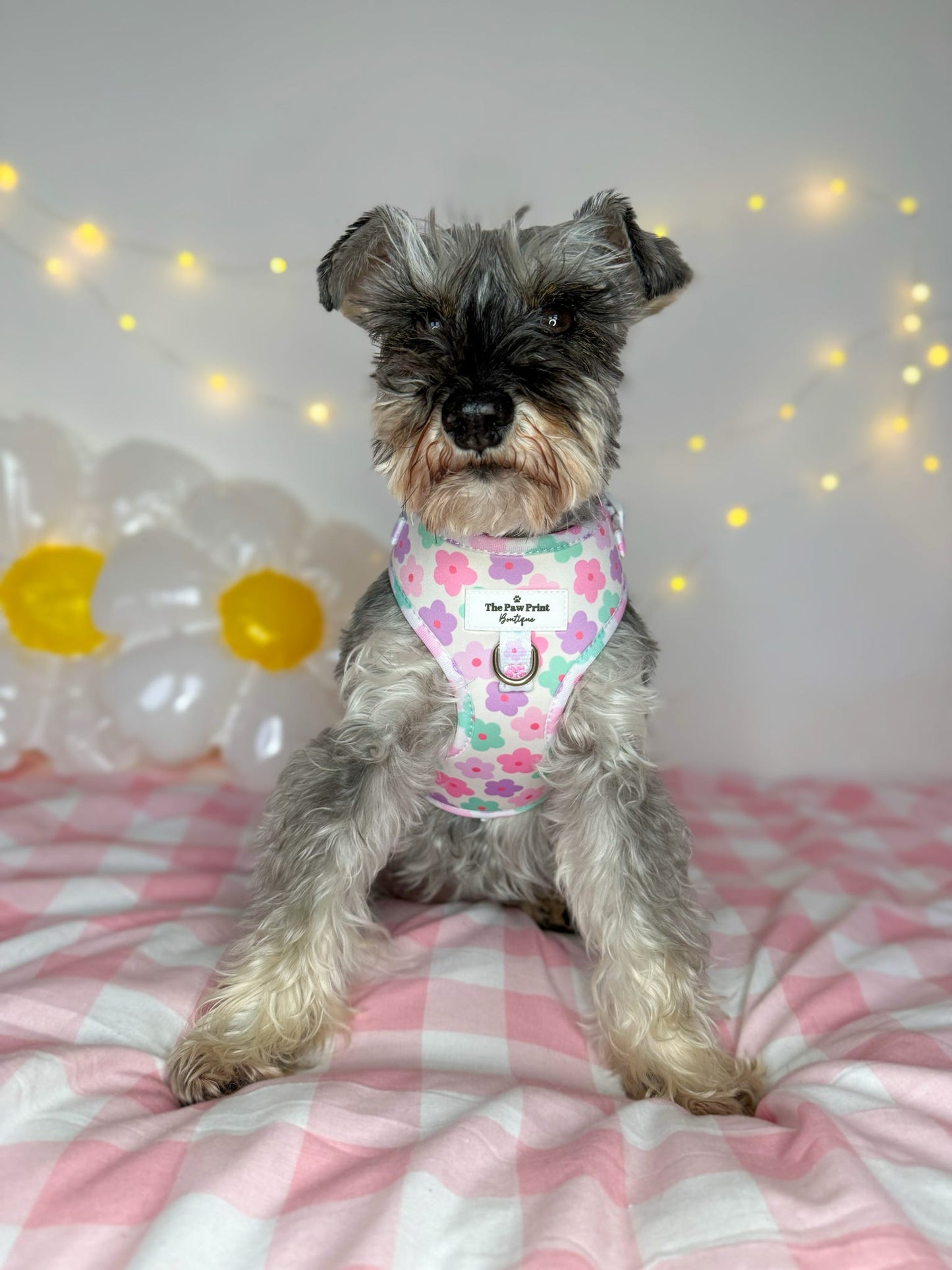 The Flower Power Adjustable Harness