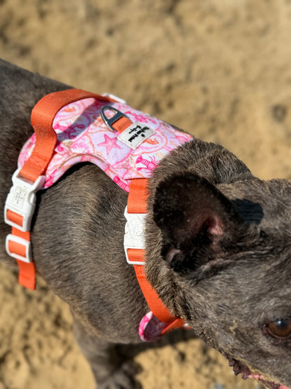 Under the Sea Paws Harness